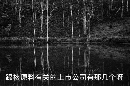 防核輻射材料上市公司，跟核原料有關(guān)的上市公司有那幾個呀