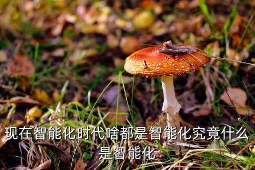 什么是智能化時(shí)代，智能時(shí)代象征著什么時(shí)代