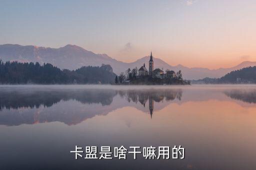 卡盟是干嘛的用的，卡盟是啥干嘛用的