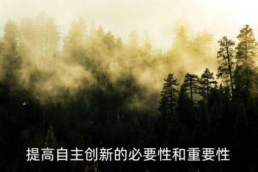 提高自主創(chuàng)新的必要性和重要性