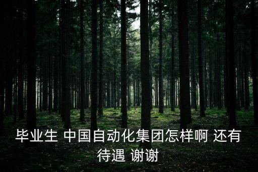 中國(guó)自動(dòng)化集團(tuán)待遇，請(qǐng)問(wèn)各界朋友在中國(guó)自動(dòng)化公司上班的員工工資是多少