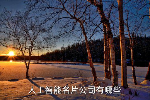 人工智能名片公司有哪些