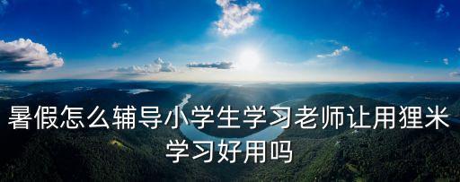 暑假怎么輔導(dǎo)小學生學習老師讓用貍米學習好用嗎