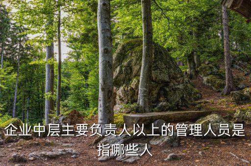 小米中層管理人名單，小米新的經(jīng)濟人是誰啊