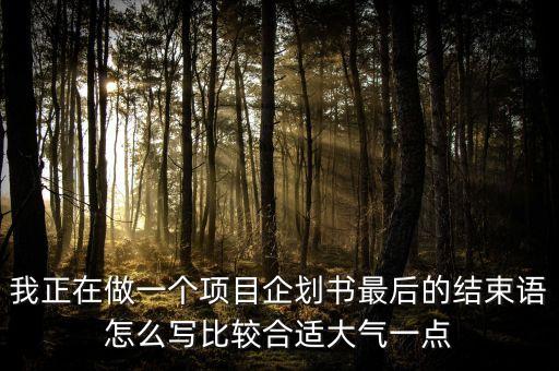 產(chǎn)品設計未來規(guī)劃書結束語，我正在做一個項目企劃書最后的結束語怎么寫比較合適大氣一點