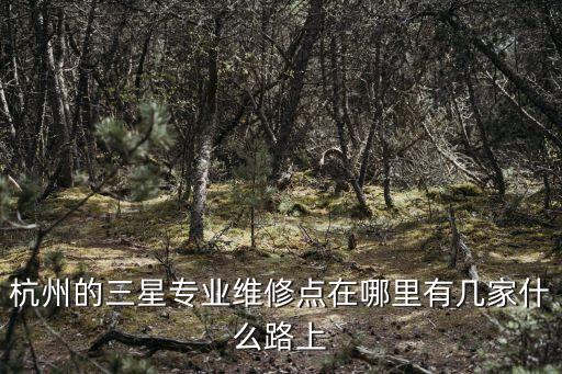 杭州的三星專(zhuān)業(yè)維修點(diǎn)在哪里有幾家什么路上