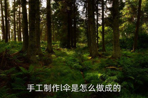 手工雨傘制作，雨傘的制作方法