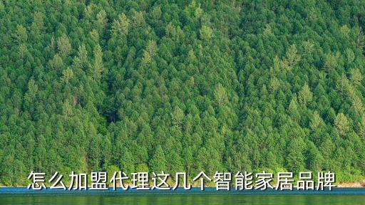 怎么加盟代理這幾個智能家居品牌
