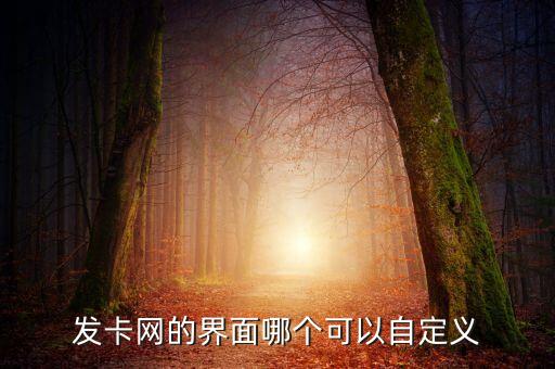 發(fā)卡網(wǎng)的界面哪個(gè)可以自定義
