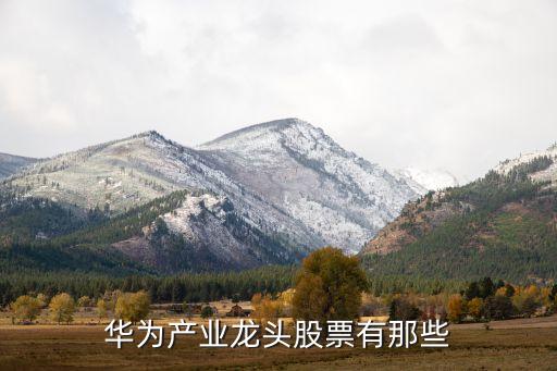 哪些股票是華為概念股，華為的芯片股票是哪個