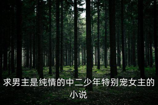 求男主是純情的中二少年特別寵女主的小說