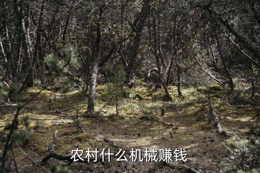農(nóng)村什么機(jī)械賺錢