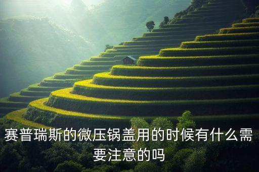 微壓鍋蓋的使用，蘇泊爾的鍋具有那個微壓鍋蓋的是那一款啊