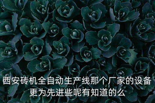 自動(dòng)化生產(chǎn)線更先進(jìn)，西安磚機(jī)全自動(dòng)生產(chǎn)線那個(gè)廠家的設(shè)備更為先進(jìn)些呢有知道的么