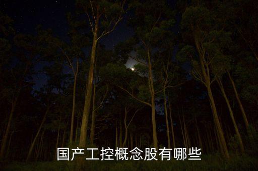 工控機(jī)龍頭股，目前國內(nèi)有哪些工控機(jī)行業(yè)的上市公司嗎