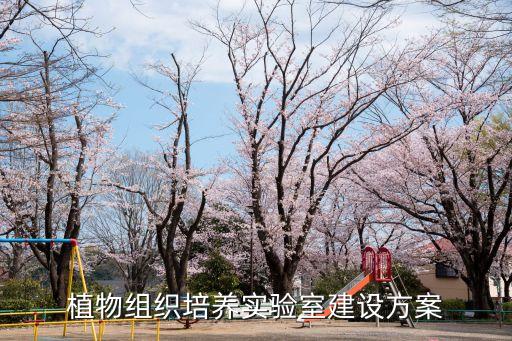 植物組織培養(yǎng)實驗室建設(shè)方案