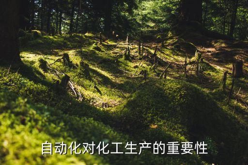 自動化的重要性及我們的責任，電氣自動化的理論知識的重要性和必要性