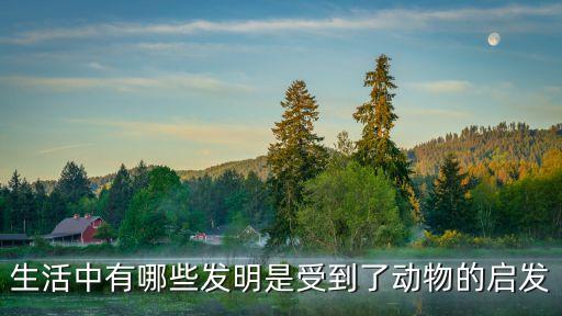 生活中有哪些發(fā)明是受到了動(dòng)物的啟發(fā)