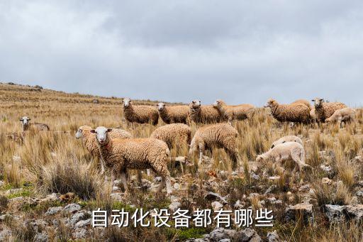 自動化設備都有哪些