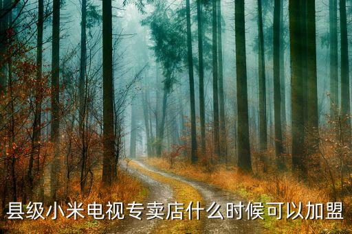 縣級(jí)小米電視專賣店什么時(shí)候可以加盟