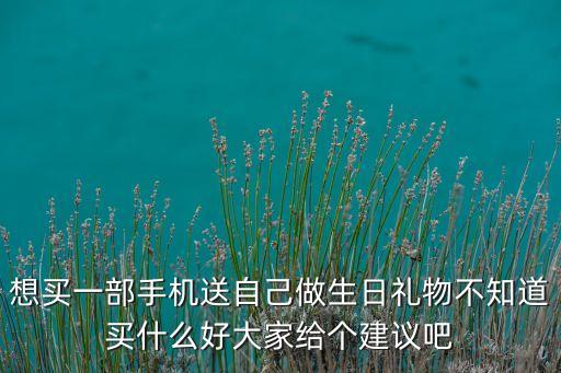 智能生日禮物，送長輩生日禮物送個手機(jī)選哪款好