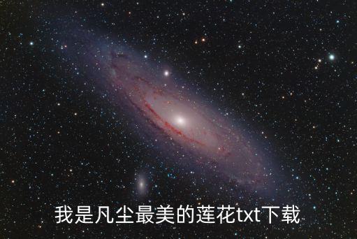 我是凡塵最美的蓮花txt下載