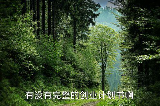 有沒有完整的創(chuàng)業(yè)計劃書啊