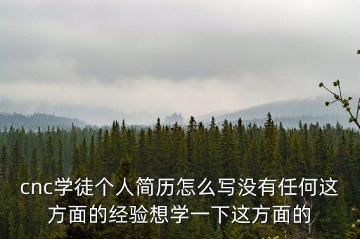 自動化組裝技術(shù)員簡歷，cnc技術(shù)員工作描述怎么寫比較好