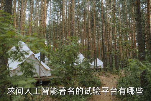 求問人工智能著名的試驗(yàn)平臺有哪些
