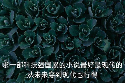 求一部科技強(qiáng)國累的小說最好是現(xiàn)代的從未來穿到現(xiàn)代也行得