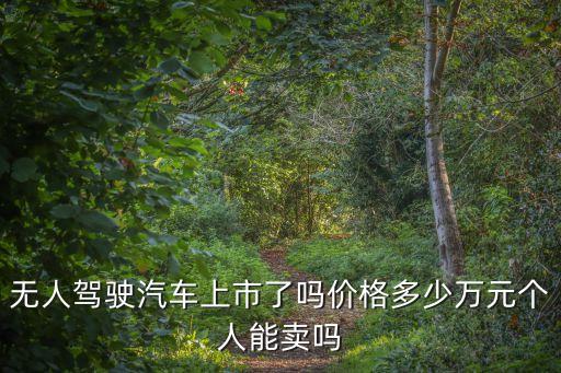 智能無人駕駛汽車最新報價，無人駕駛汽車上市了嗎價格多少萬元個人能賣嗎