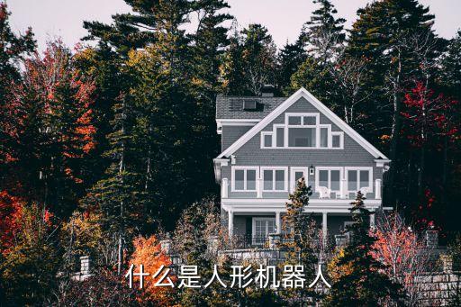 人形機(jī)器人，什么是人形機(jī)器人