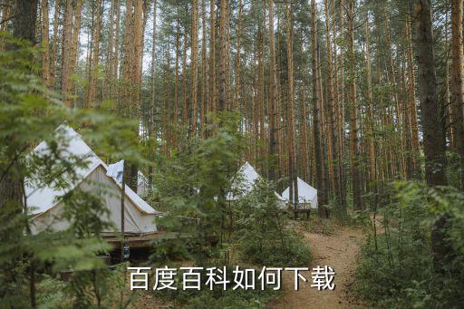 百度百科如何下載