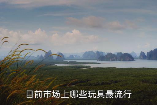 目前市場(chǎng)上哪些玩具最流行