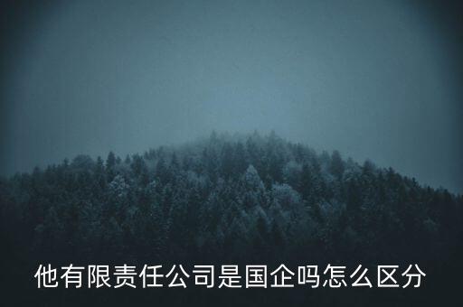 他有限責(zé)任公司是國(guó)企嗎怎么區(qū)分