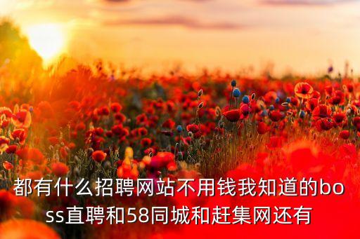 招聘網(wǎng)boss直聘，都有什么招聘網(wǎng)站不用錢我知道的boss直聘和58同城和趕集網(wǎng)還有