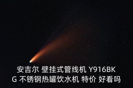 安吉爾 壁掛式管線機 Y916BKG 不銹鋼熱罐飲水機 特價 好看嗎