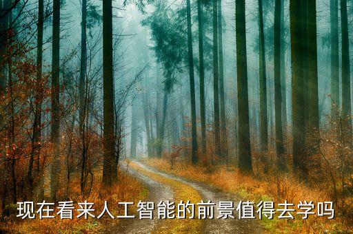 現(xiàn)在看來人工智能的前景值得去學(xué)嗎