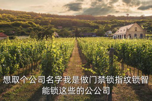 想取個(gè)公司名字我是做門禁鎖指紋鎖智能鎖這些的公公司
