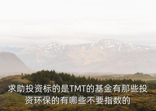 求助投資標(biāo)的是TMT的基金有那些投資環(huán)保的有哪些不要指數(shù)的