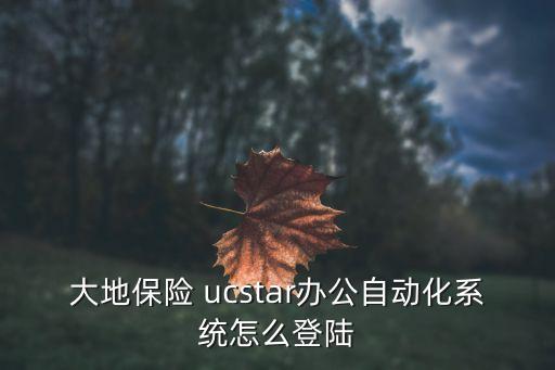 大地保險 ucstar辦公自動化系統(tǒng)怎么登陸