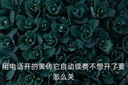 用電話開(kāi)的黃磚它自動(dòng)續(xù)費(fèi)不想開(kāi)了要怎么關(guān)