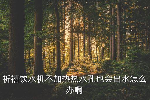 祈禧飲水機(jī)不加熱熱水孔也會(huì)出水怎么辦啊