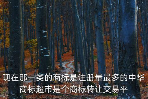 現(xiàn)在那一類的商標(biāo)是注冊(cè)量最多的中華商標(biāo)超市是個(gè)商標(biāo)轉(zhuǎn)讓交易平