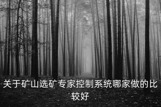 關(guān)于礦山選礦專家控制系統(tǒng)哪家做的比較好