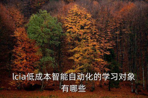 lcia低成本智能自動(dòng)化的學(xué)習(xí)對(duì)象有哪些