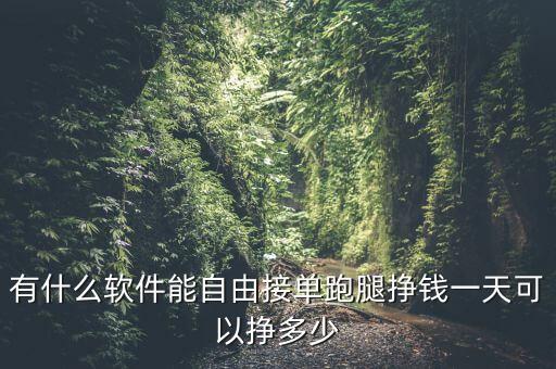 無(wú)限接單任務(wù)平臺(tái)，有什么軟件能自由接單跑腿掙錢(qián)一天可以掙多少