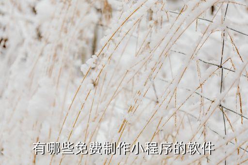 有哪些免費制作小程序的軟件