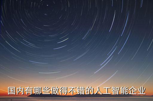 國內(nèi)有哪些做得不錯的人工智能企業(yè)