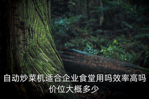 自動炒菜機適合企業(yè)食堂用嗎效率高嗎價位大概多少